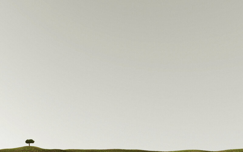 Single Tree on Hill — Green, Serene, Minimalist