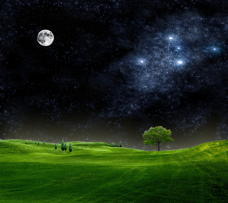 Single Tree on Hill — Green, Serene, Night, Digital Art