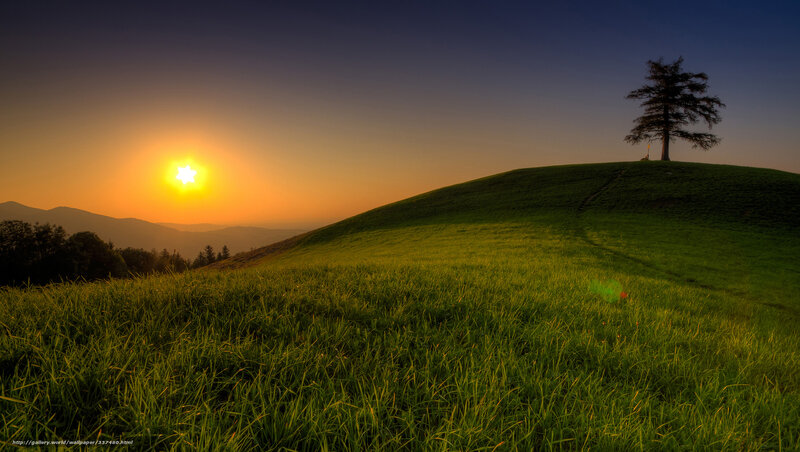 Single Tree on Hill — Green, Serene, Sunset, Photograph, Sun, Mountains