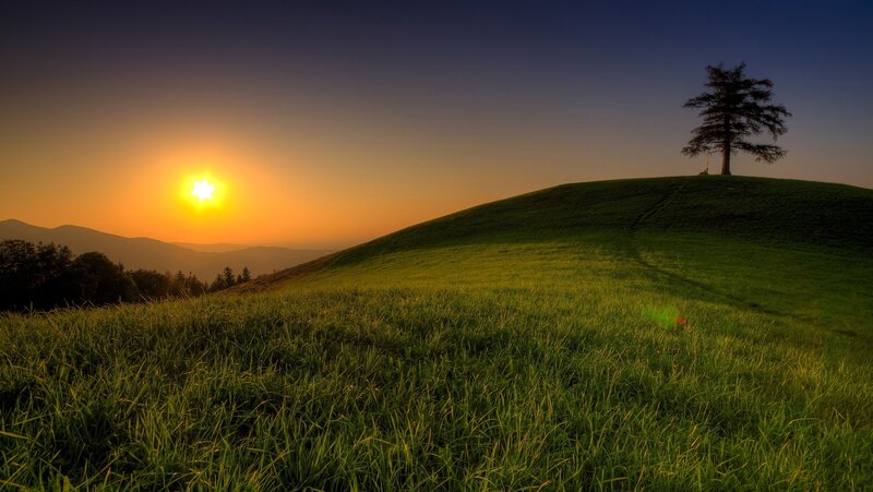 Single Tree on Hill — Green, Serene, Sunset
