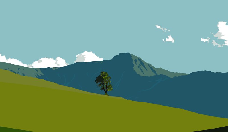 Single Tree on Hillside — Green, Serene