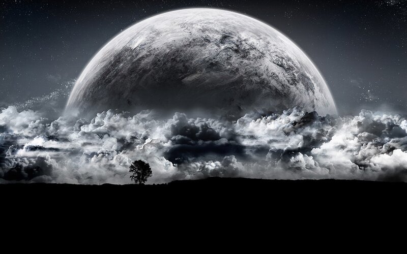 Single Tree on Horizon — Black, Dramatic
