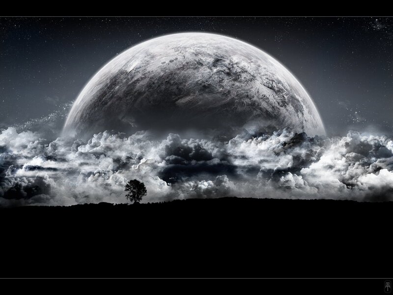 Single Tree on Horizon — Black