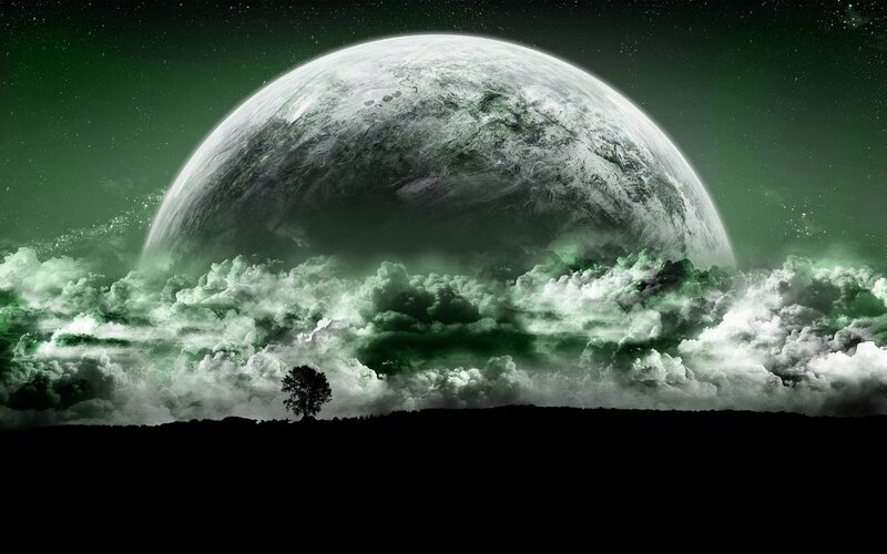 Single Tree on Horizon — Green