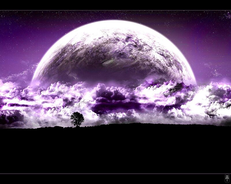 Single Tree on Horizon — Purple