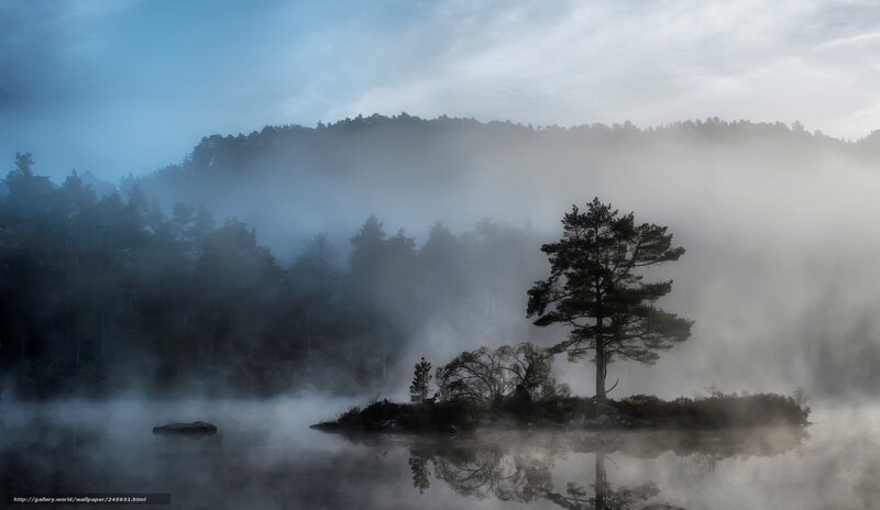 Single Tree on Island — Blue, Misty