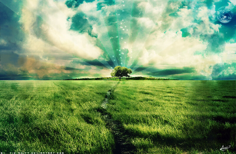 Single Tree on Island — Green