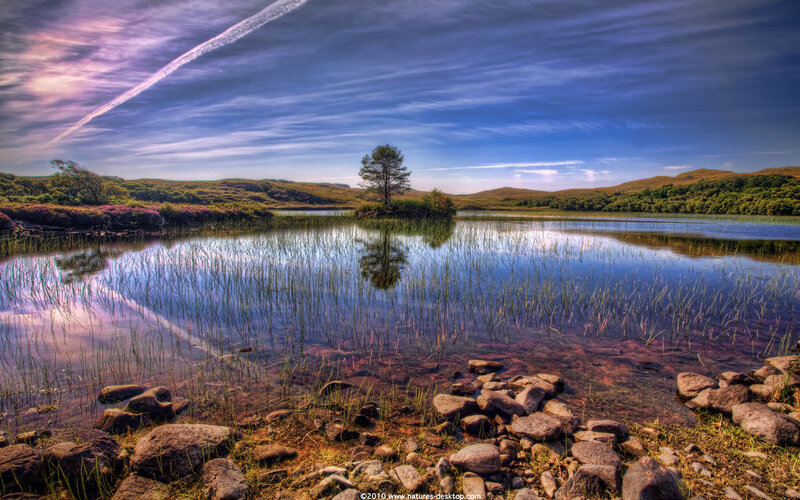 Single Tree on Island