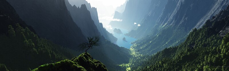 Single Tree on Mountain
