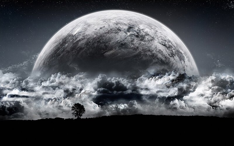 Single Tree on Planet Surface