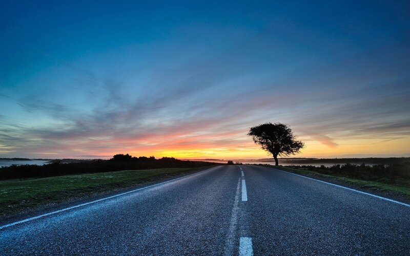 Single Tree on Road — Blue, Serene