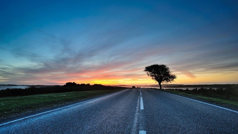 Single Tree on Road — Blue