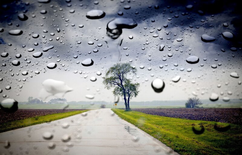 Single Tree on Road — Gray, Dreary