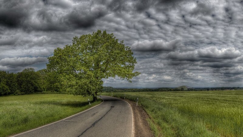 Single Tree on Road — Green, Dramatic
