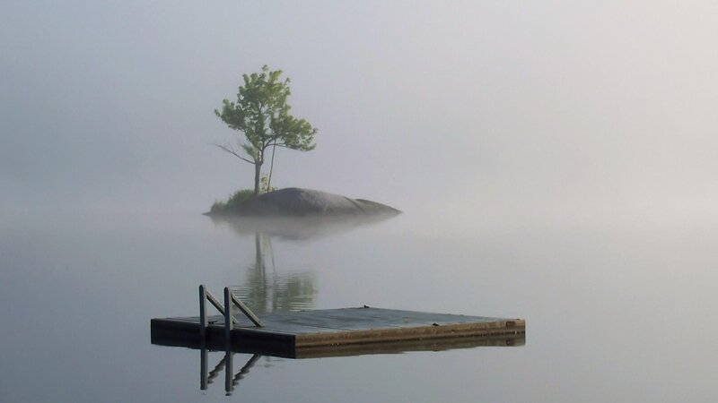 Single Tree on Rock