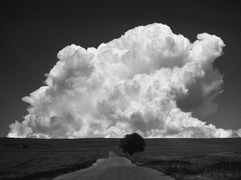 Single Tree under Storm Cloud