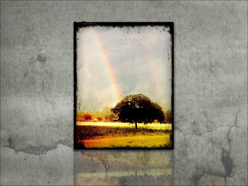 Single Tree with Rainbow — Yellow