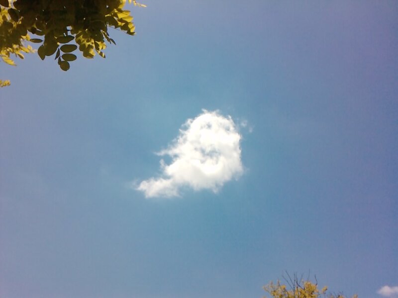Single White Cloud