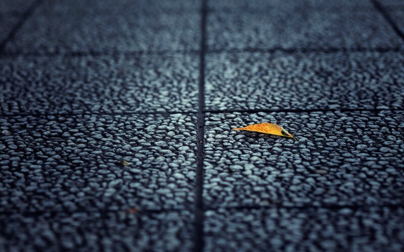 Single Yellow Leaf — Somber
