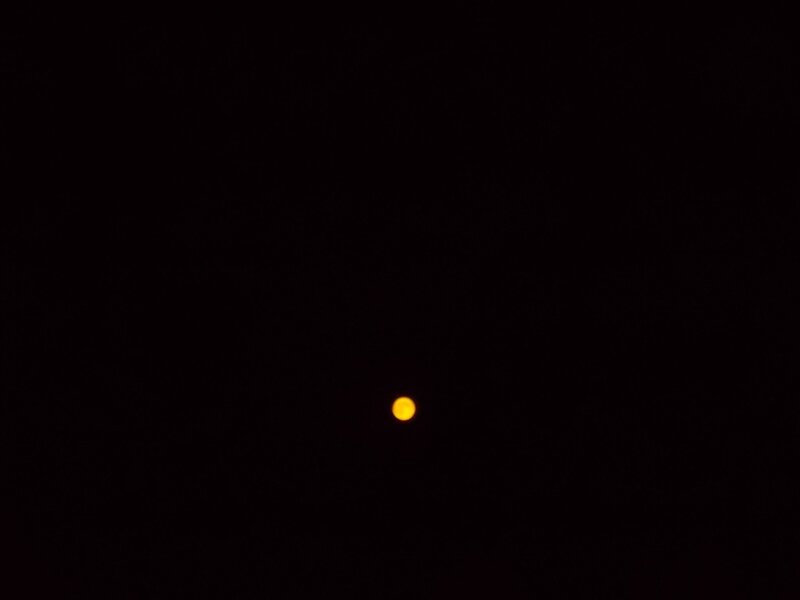 Single Yellow Light