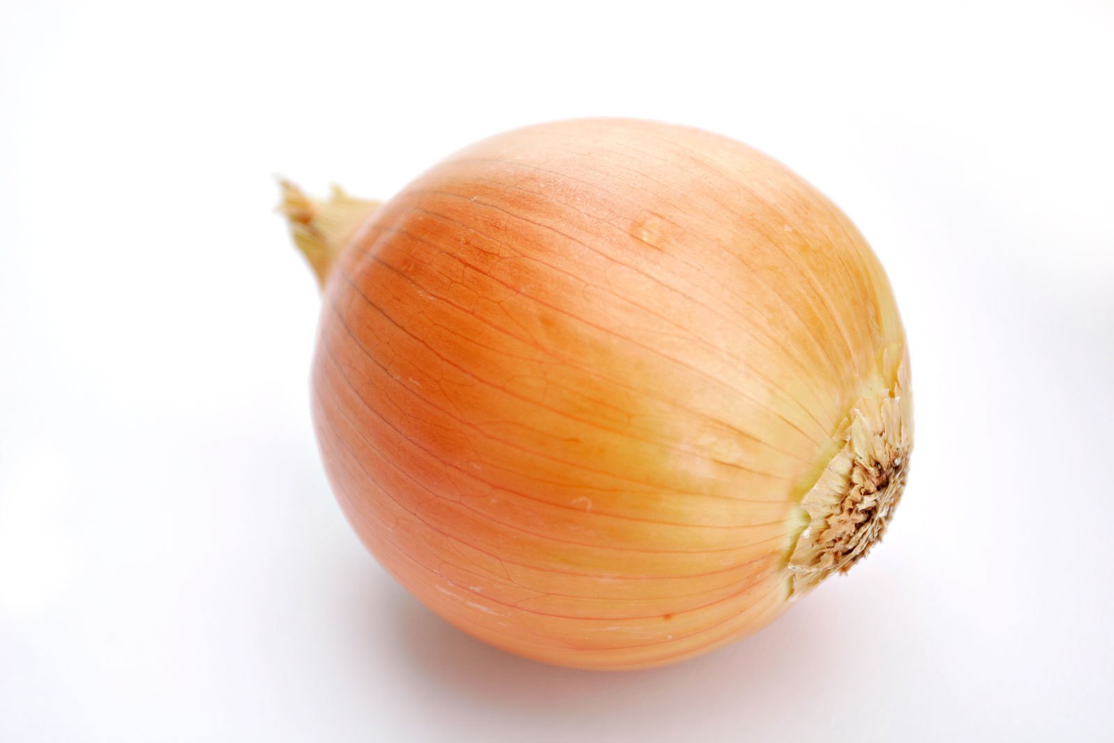 single yellow onion