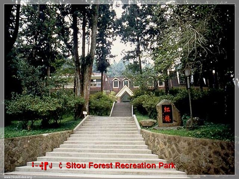 Sitou Forest Recreation Park