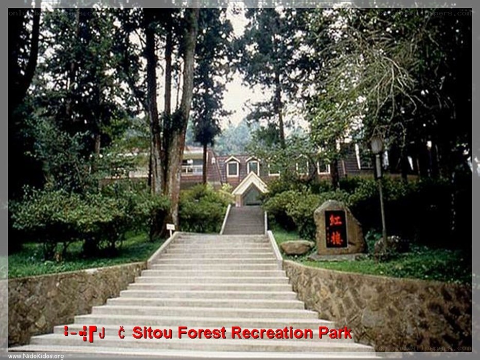 Sitou Forest Recreation Park