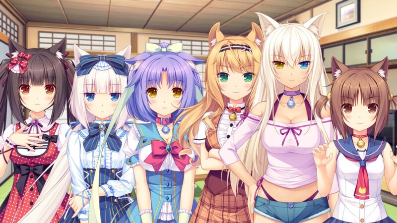 Six Anime Girls with Animal Ears
