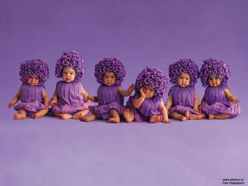 Six Babies in Purple — Calm, Photograph, Costumes