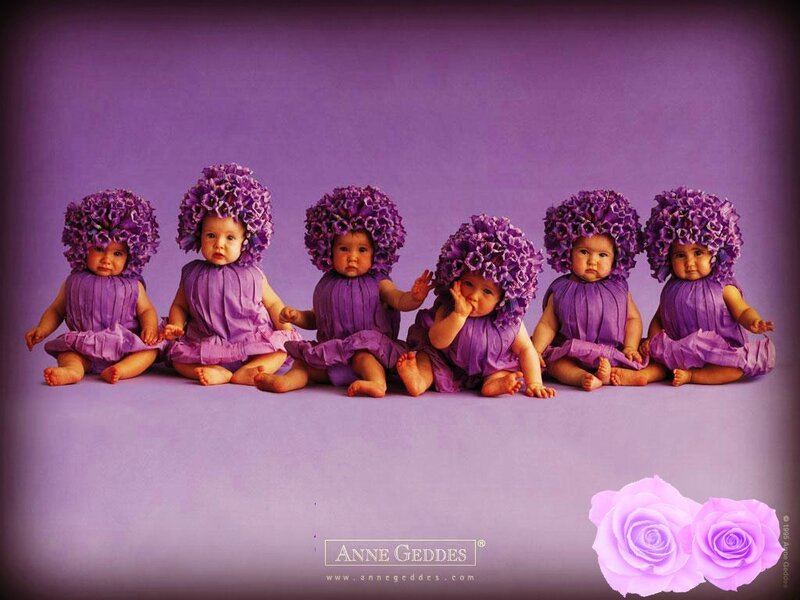 Six Babies in Purple — Calm