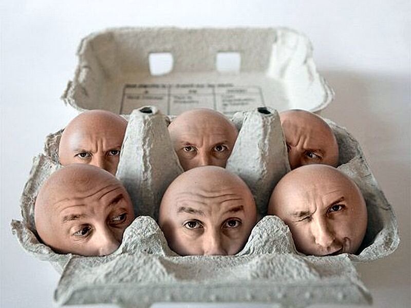 Six Bald Men in Egg Carton