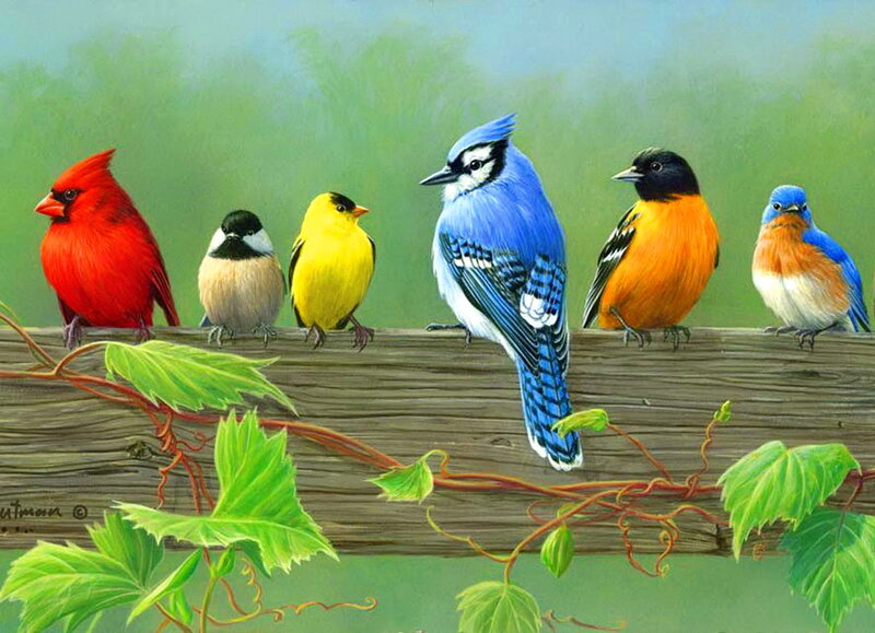 Six Birds on a Log