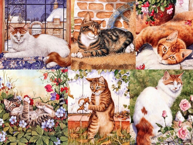 Six Cats in Various Scenes