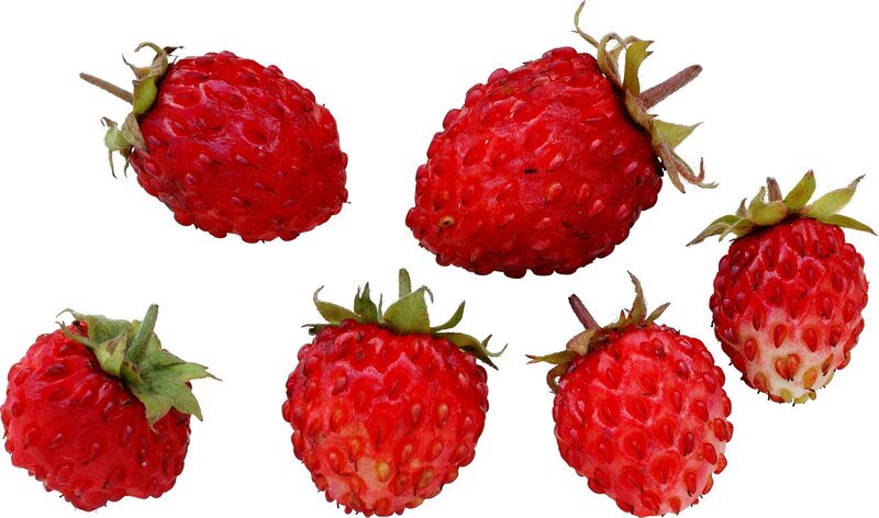 six fresh strawberries