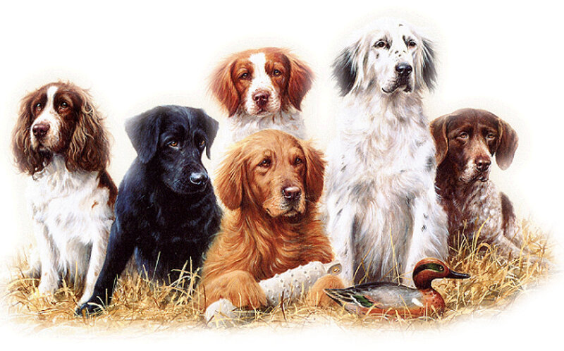 Six Hunting Dogs