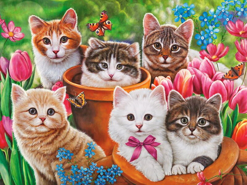 Six Kittens in Flowers