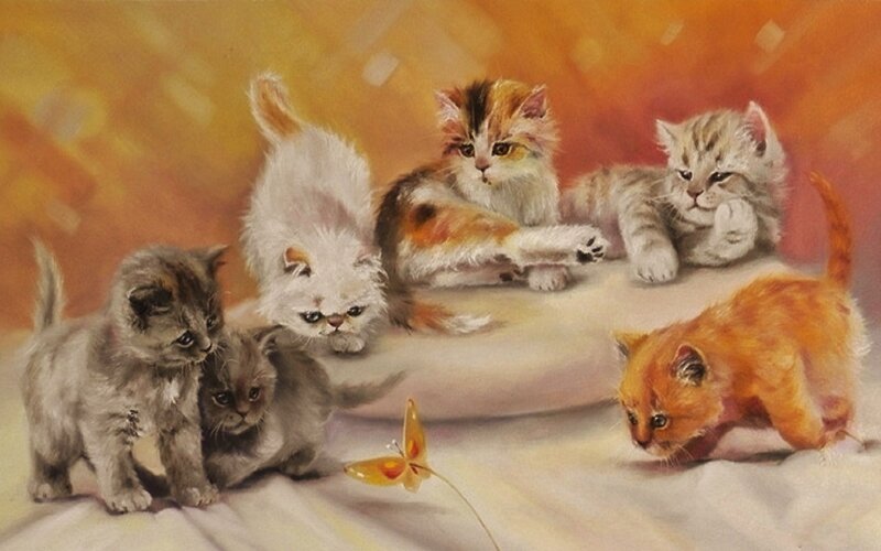 Six Kittens on Blanket
