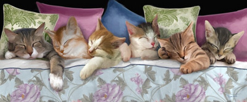 Six Kittens Sleeping