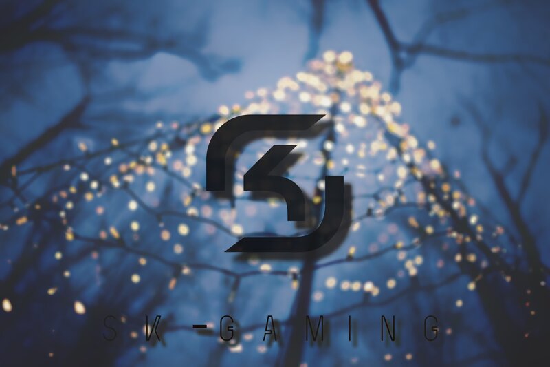 SK-GAMING Logo