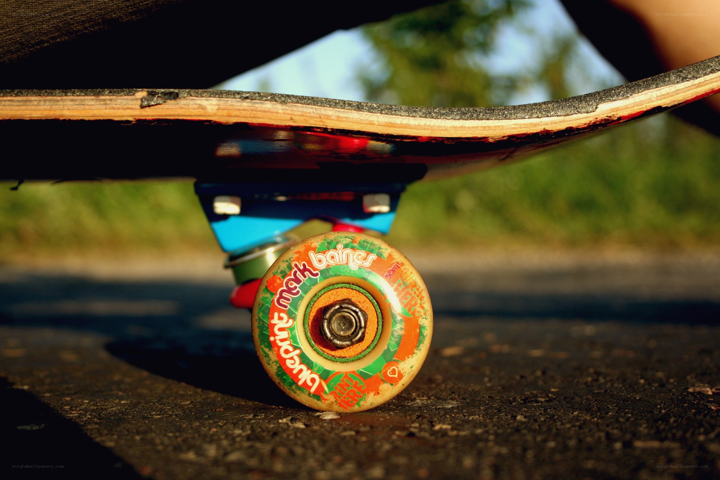 skateboard wheel close-up