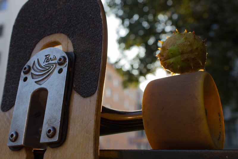 Skateboard with Chestnut
