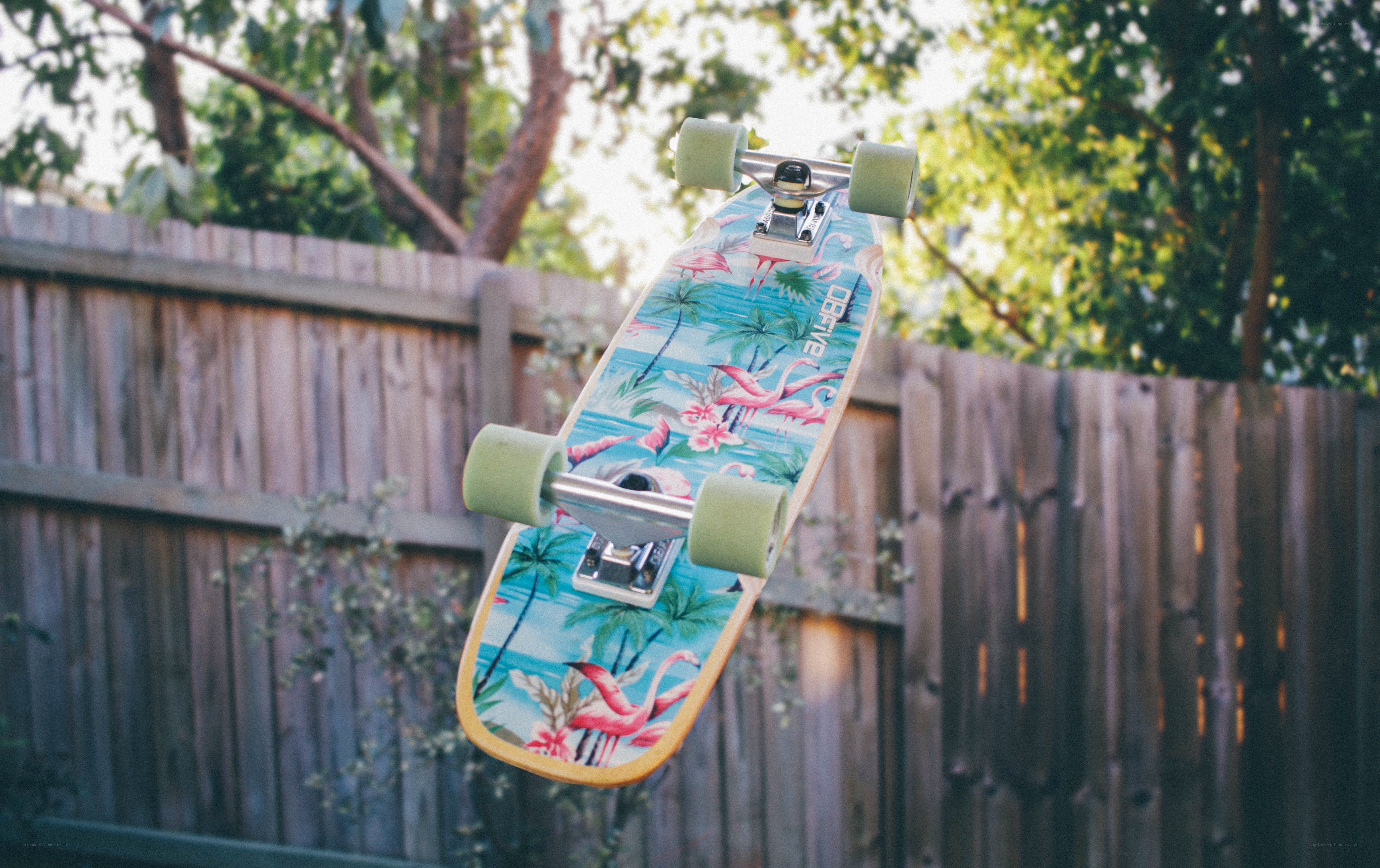 skateboard with flamingo design