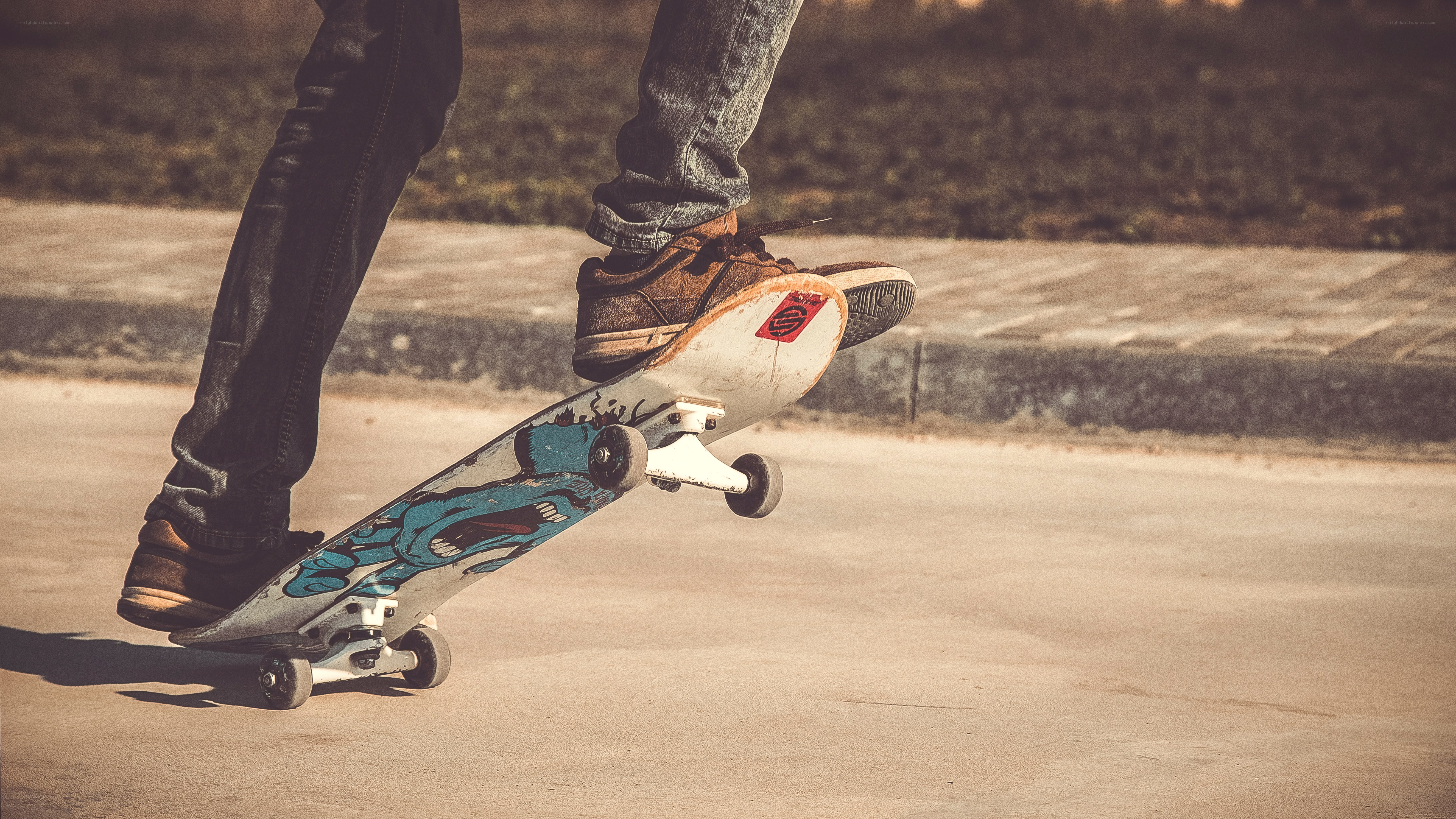 skateboarder performing trick