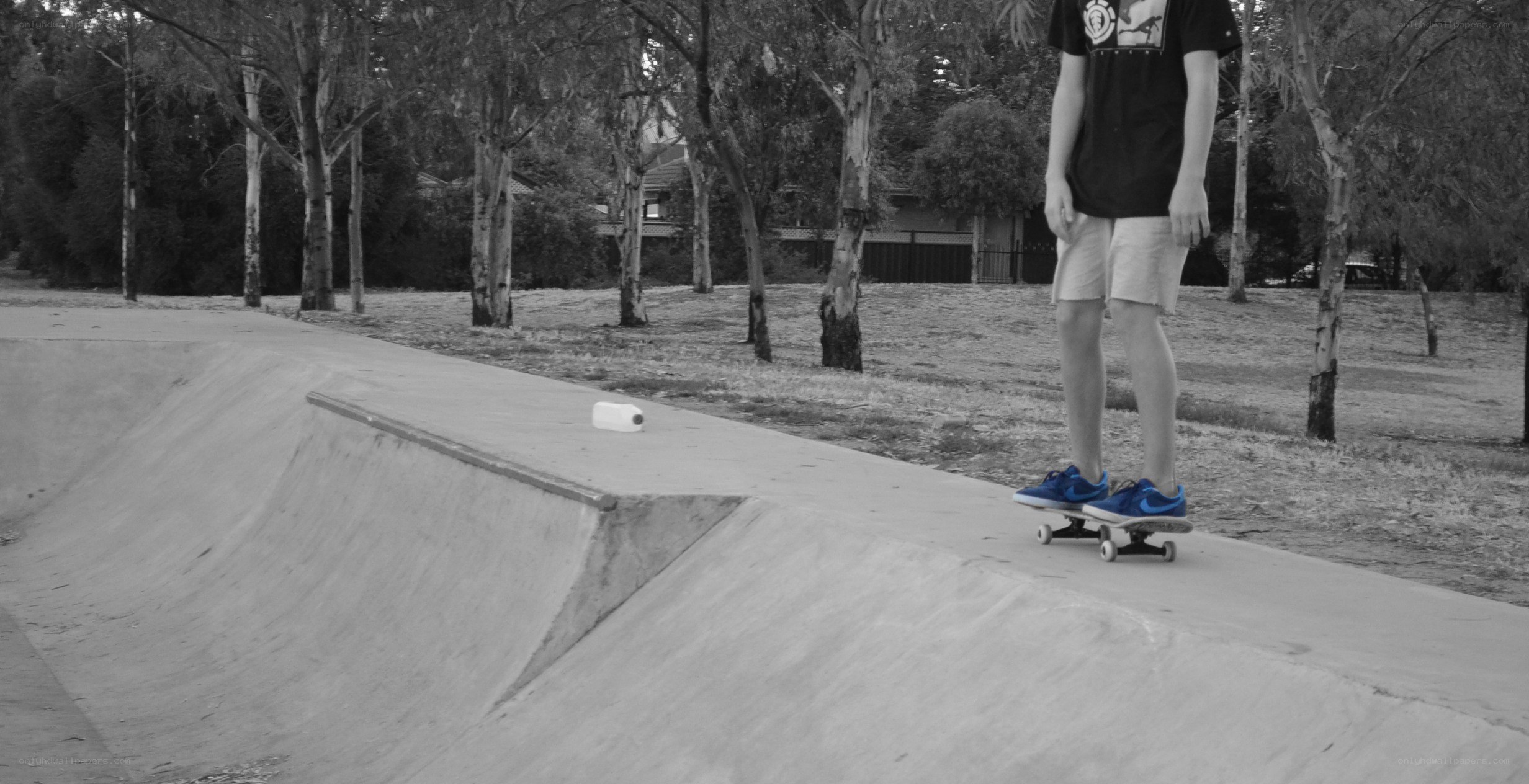 skater at a skatepark