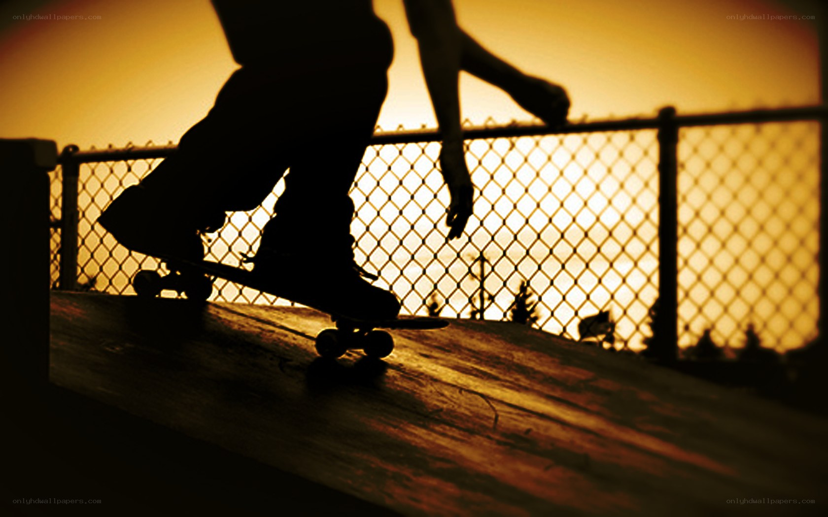 skater at sunset
