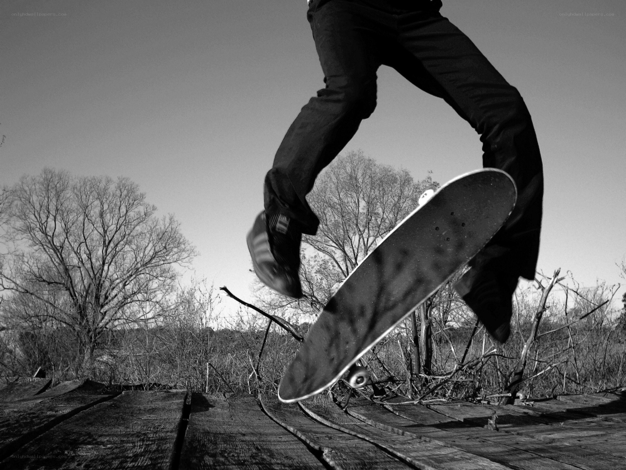 Skater mid-air jump