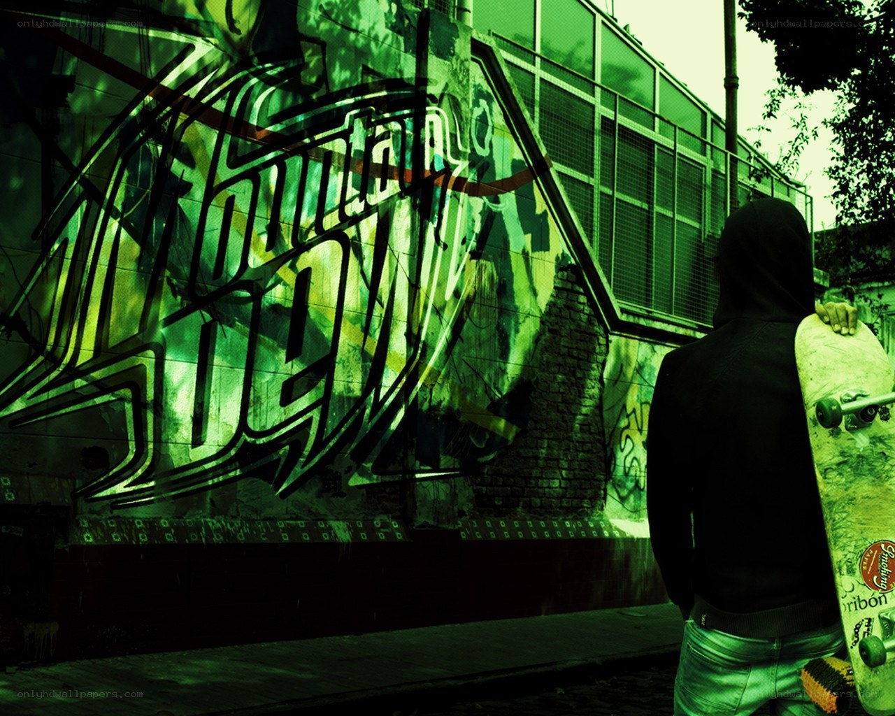 Skater near graffiti wall