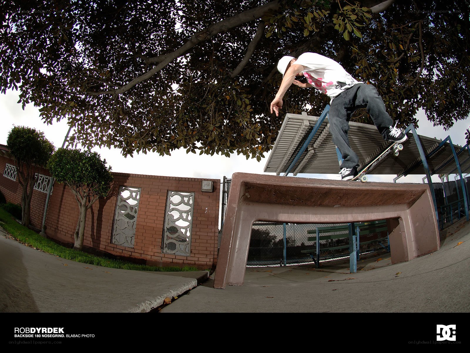 Skater on a bench