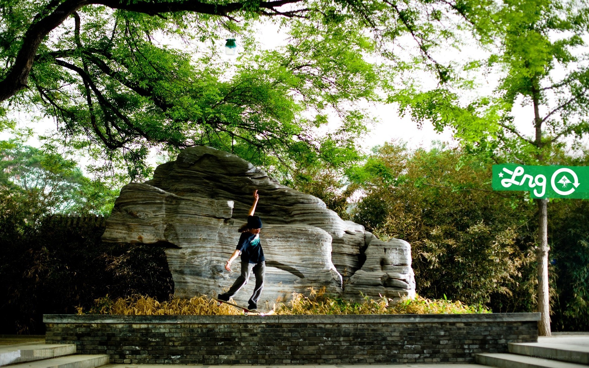 Skater on a ledge in a park