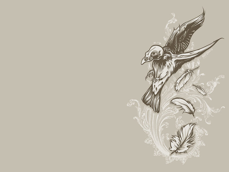 skeletal bird with feathers
